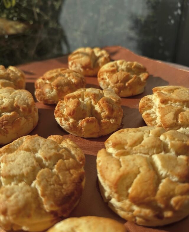.
グルテンフリー・ヴィーガンの
メープルスコーン焼き上がりました。🍁
小麦粉、卵やバター不使用とは思えない、
しっとりサクサクで、満足感のあるスコーンです。
16時まで営業しております。
ご来店お待ちしております！
-——————————
10:00-16:00 定休日(日)
〒115-8650 東京都北区赤羽台1丁目7-11 HELSPO HUB-3
＊東洋大学赤羽台キャンパス内にありますが一般の方もご利用いただけます
＊お席のご予約は承っておりません
＊店内のお席はご自由にお使いいただけます
-——————————